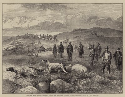 Pointer and Setter Grouse Trials at Rhiwlas, North Wales, General View of the Ground by Harrison William Weir